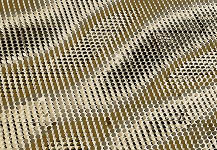 Your Facade is Your Identity: Crafting Signature Statements with Our Customizable Parametrics